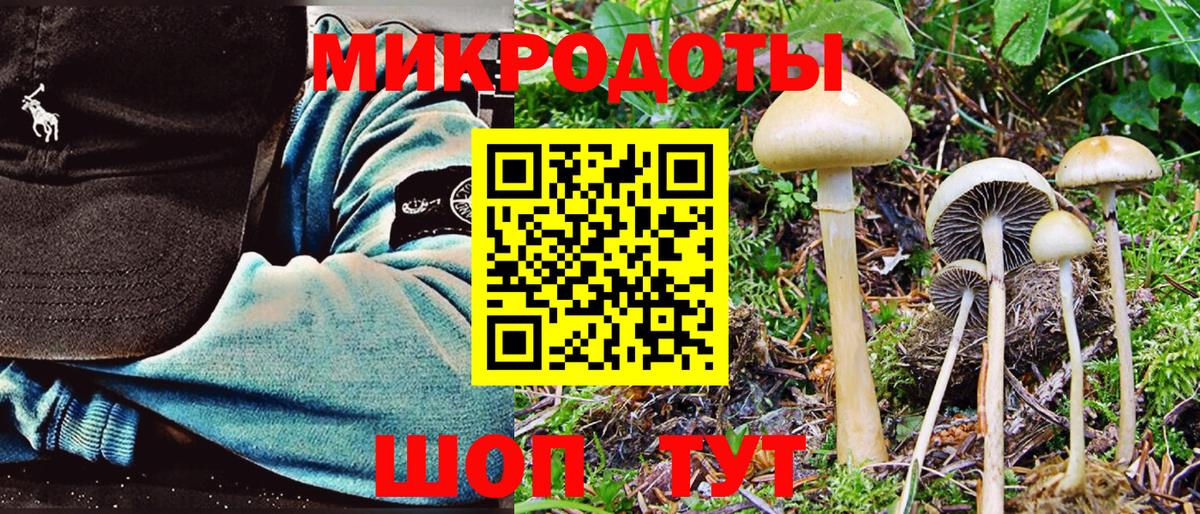 Псилоцибиновые грибы Psilocybe  Вход с VPN  Мончегорск 